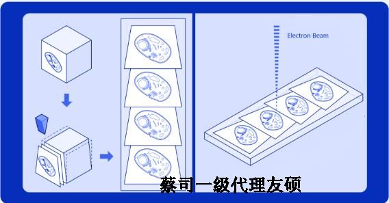 舟山蔡司舟山扫描电镜