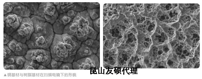 舟山蔡司舟山扫描电镜