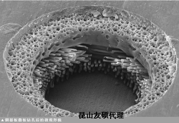 舟山蔡司舟山扫描电镜